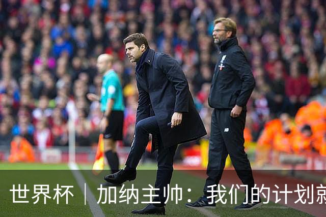 世界杯｜加纳主帅：我们的计划就是让英格兰队受挫