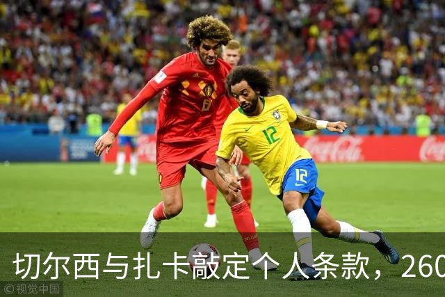 切尔西与扎卡敲定个人条款，2600万镑报价等待桑德兰放行