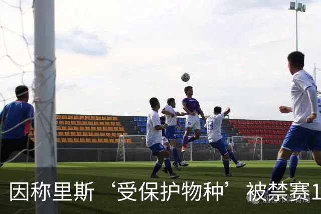 因称里斯‘受保护物种’被禁赛1场，前NBA球星怒批：该禁2场，她是在叫我们动物