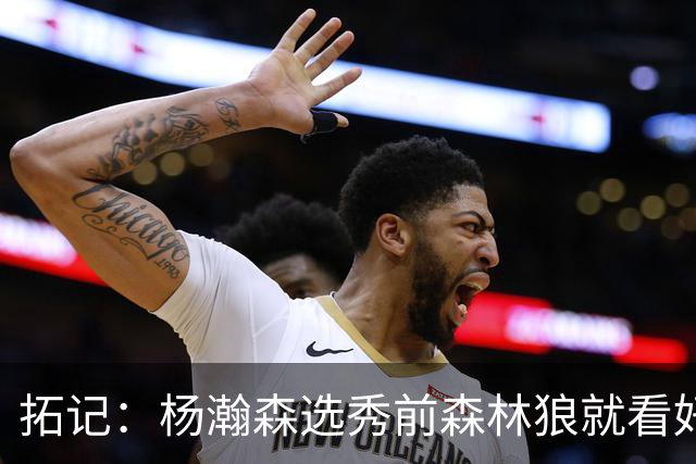 拓记：杨瀚森选秀前森林狼就看好他 新帅诺里那时可能看过其试训
